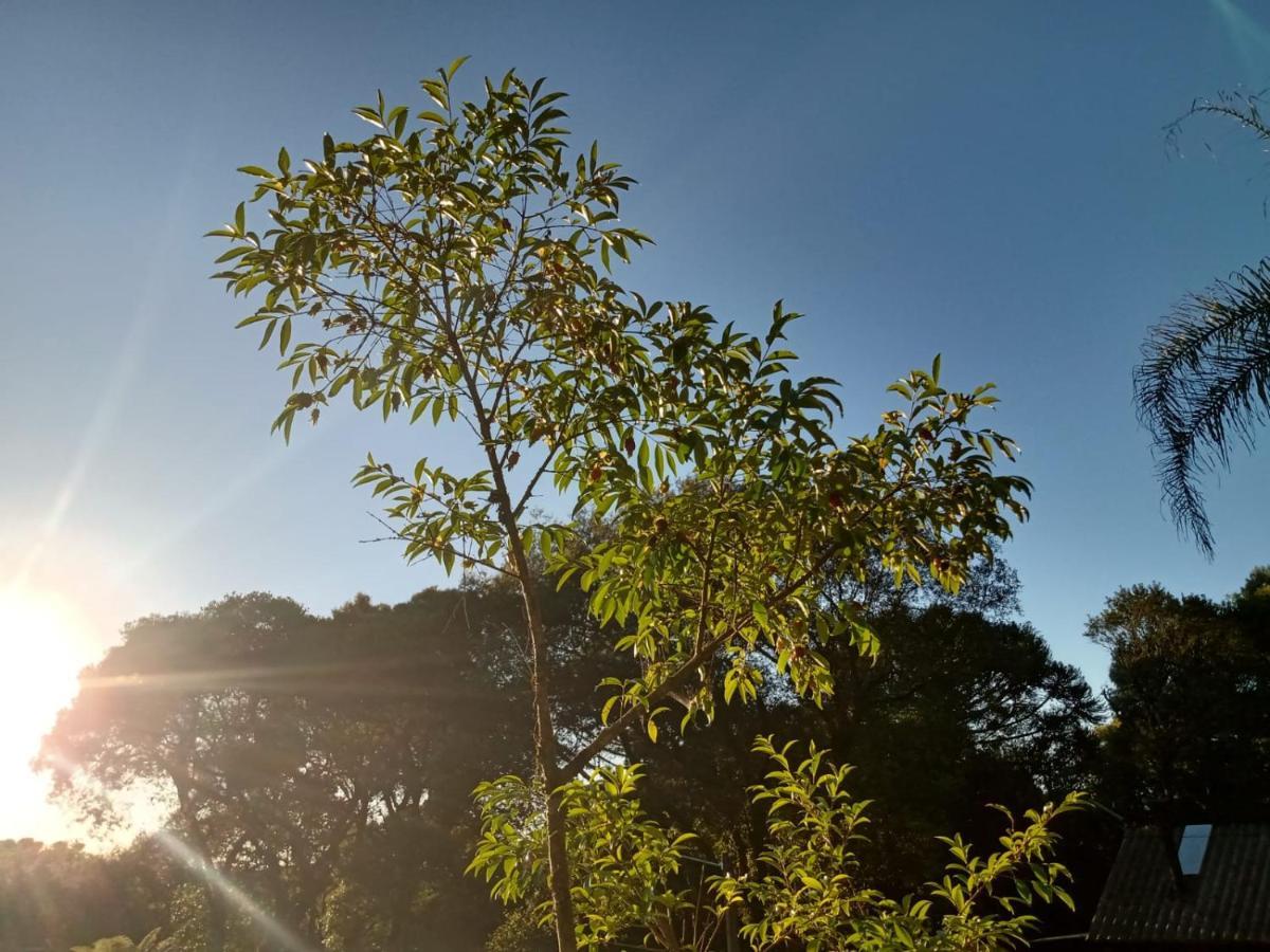 Recanto Da Natureza - Canela Exterior foto