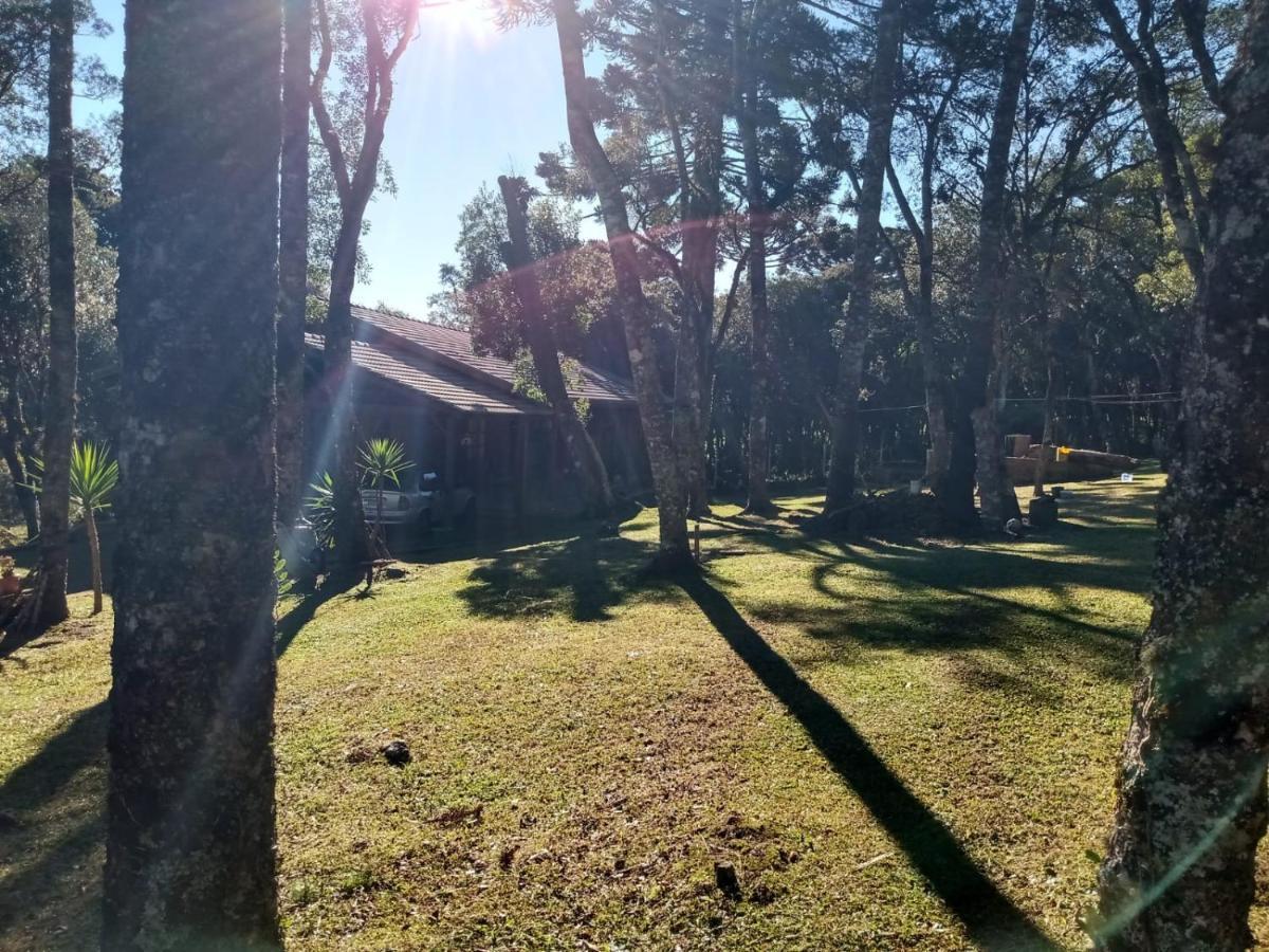 Recanto Da Natureza - Canela Exterior foto